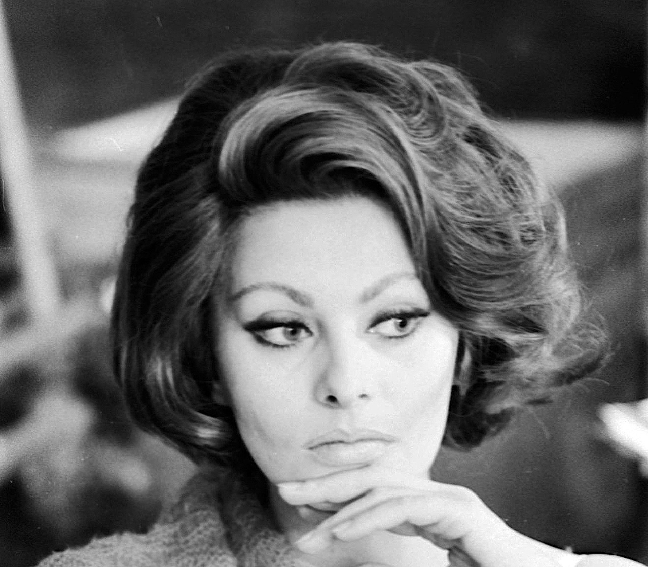 Sophia Loren Sophia Loren