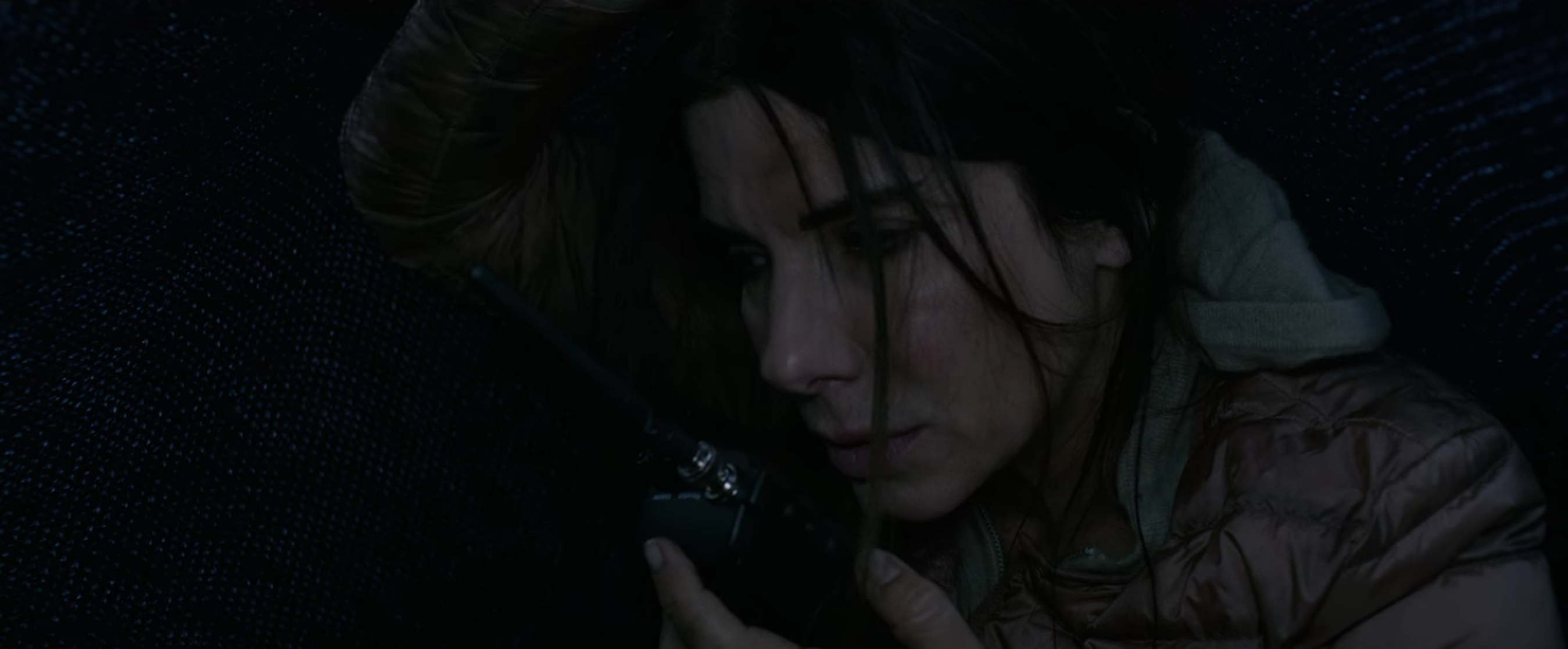 Bird Box
