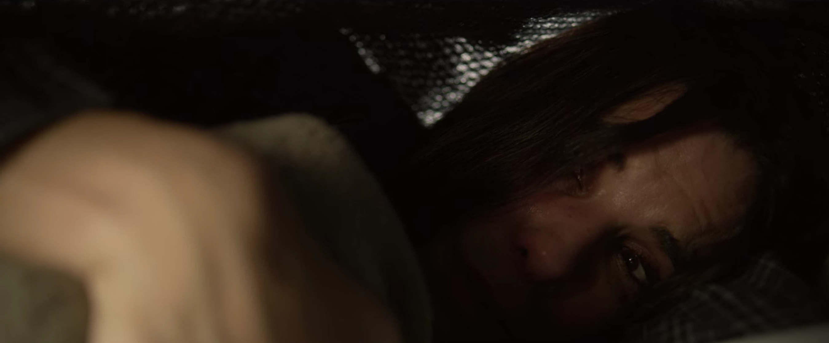 Bird Box