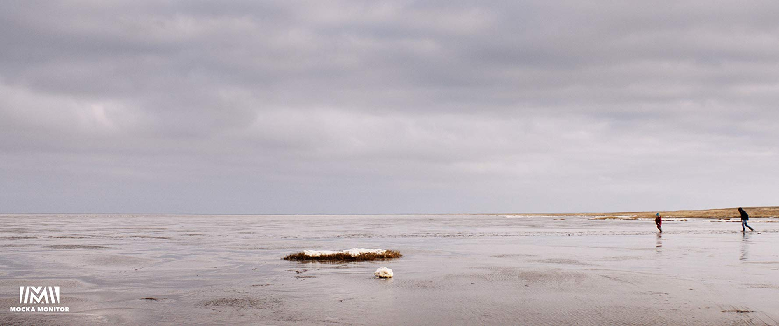 Beyond the Tide