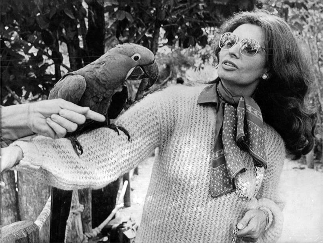 Sophia Loren