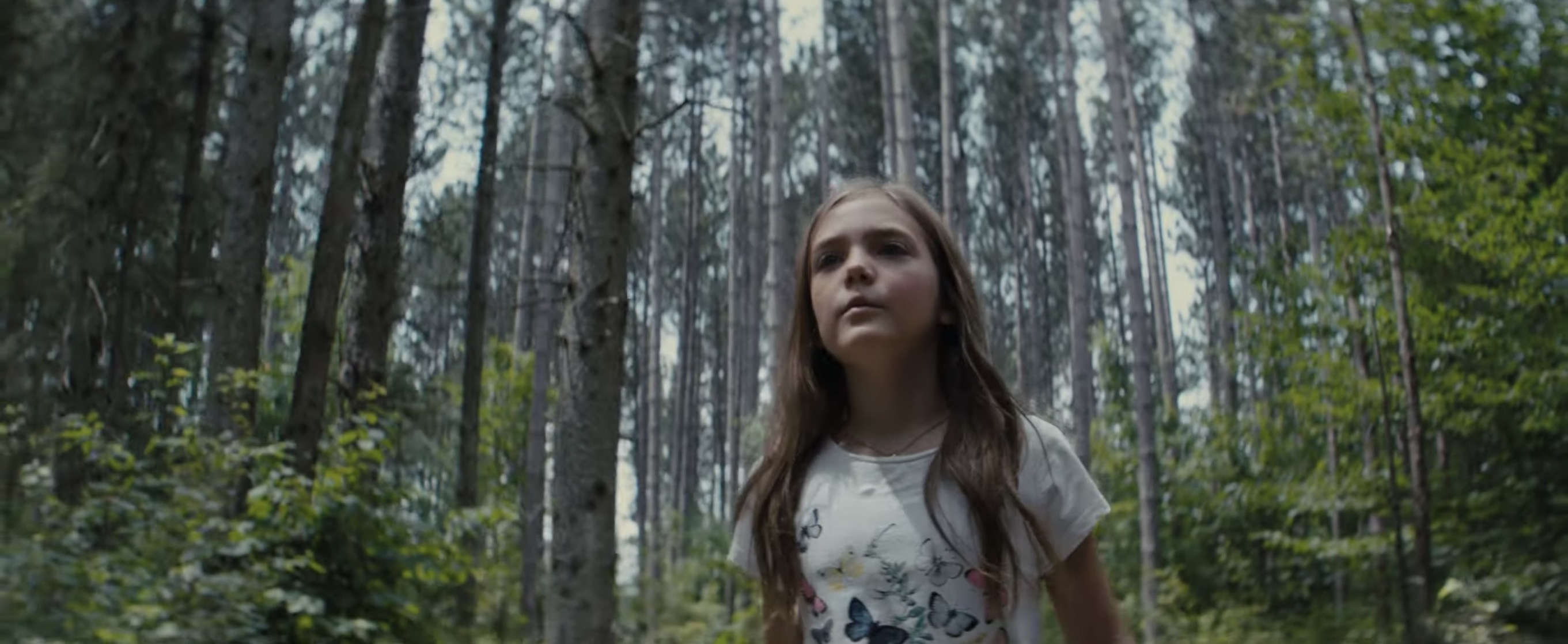 Pet Sematary