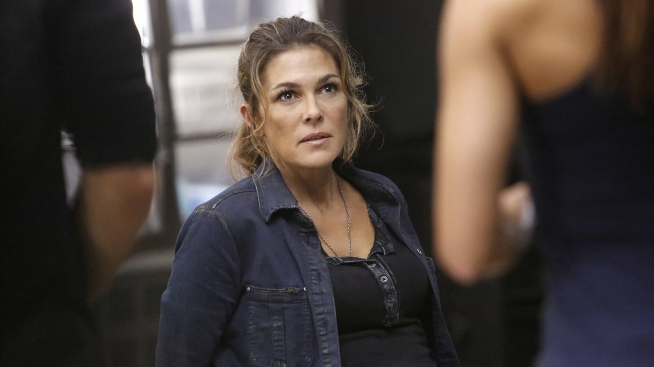 Films Et Séries Tv Avec Paige Turco Picture of Paige Turco