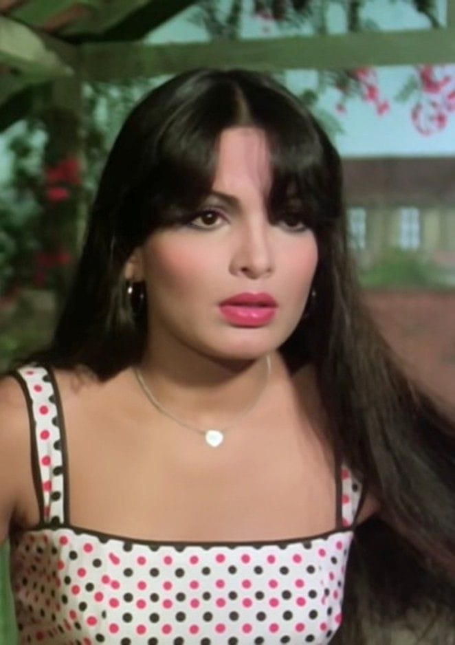 Picture Of Parveen Babi