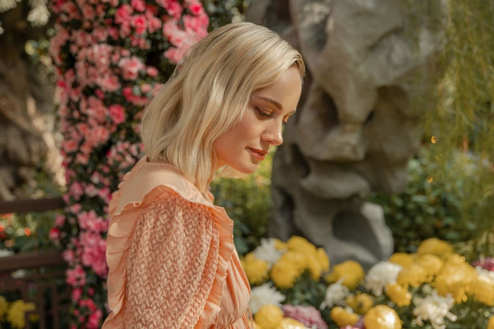 Brie Larson Brie Larson