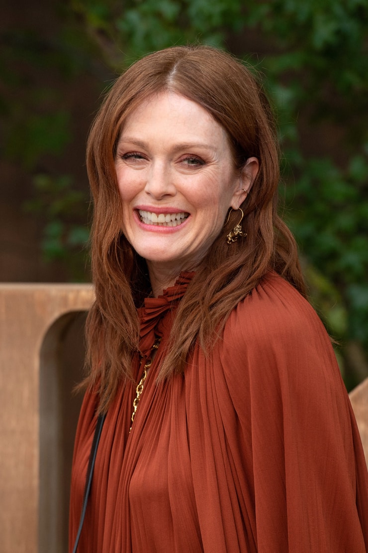 Picture Of Julianne Moore