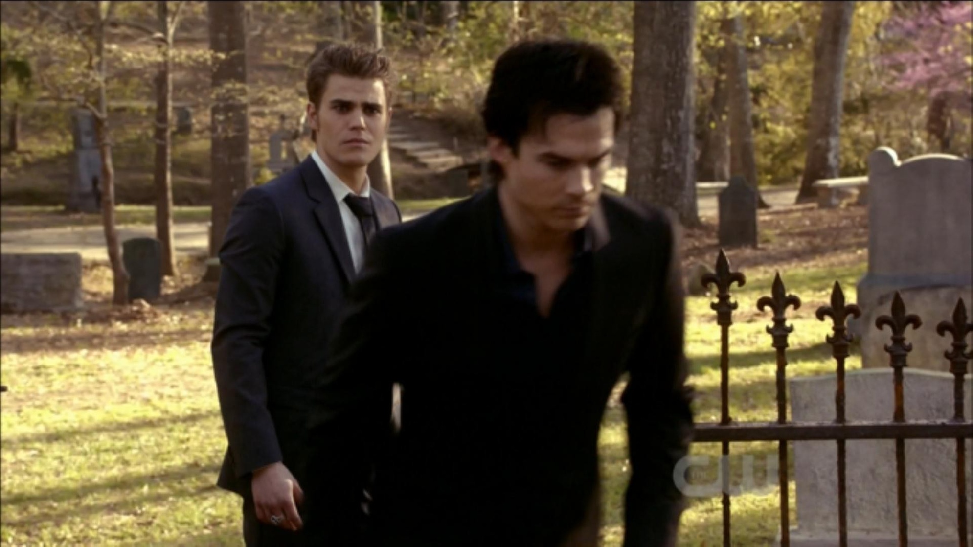 The Vampire Diaries