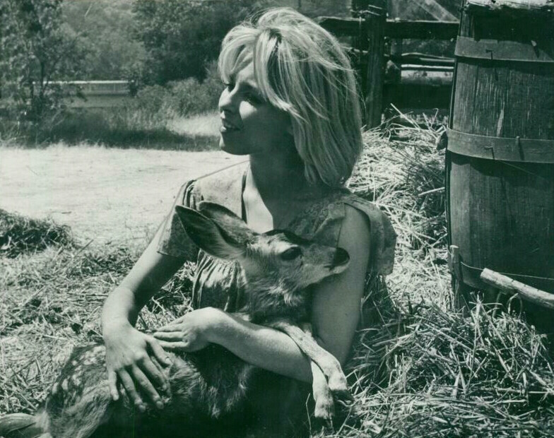 Jill Haworth Jill Haworth