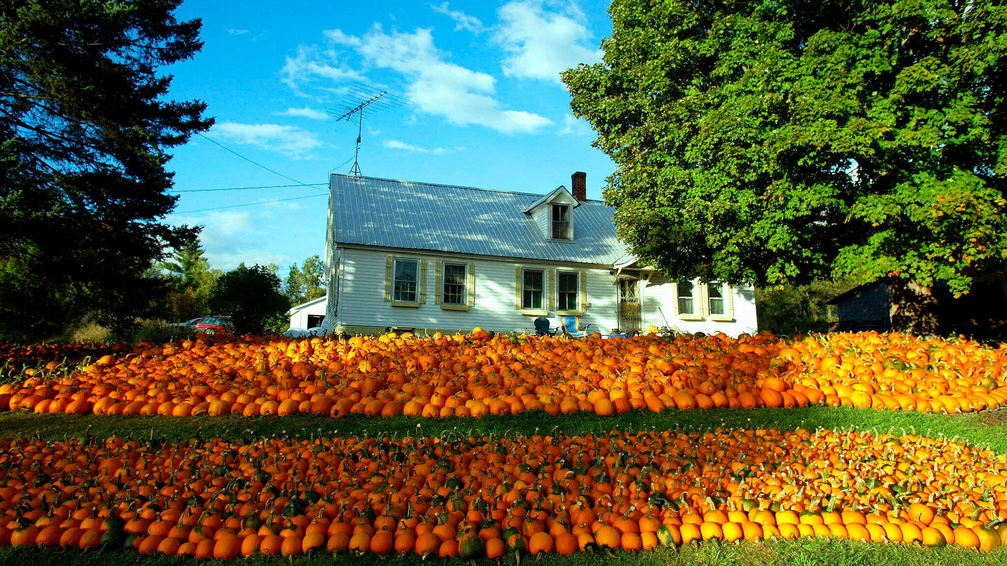Vermont