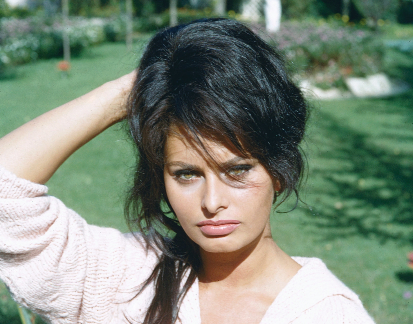 Sophia Loren Sophia Loren