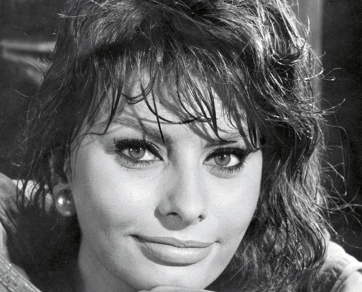 Sophia Loren Sophia Loren