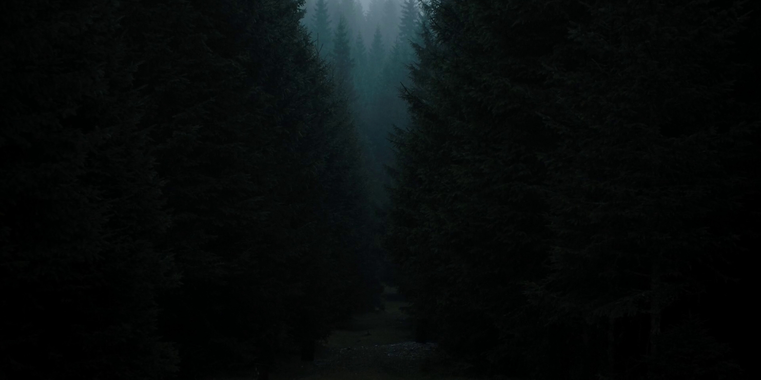Picture of The Ritual