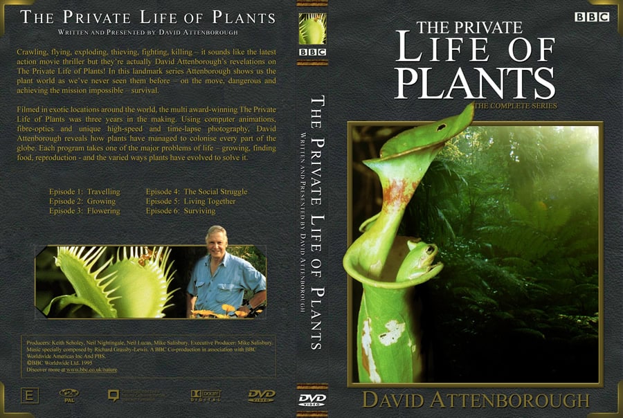 My private life. The private Life of Plants 1995. Bbc Life of Plants. Дэвид Эттенборо Живая Планета книга.