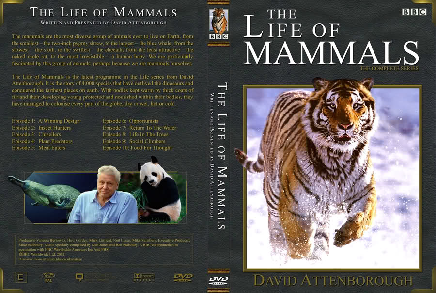 The Life of Mammals