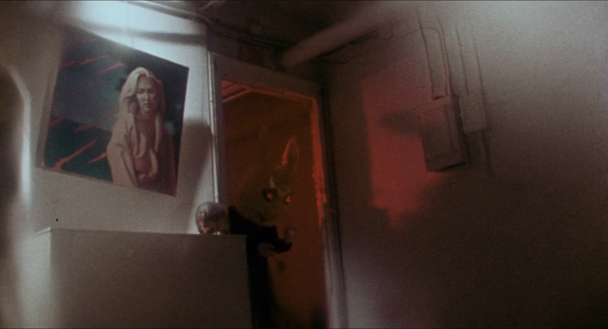 The Driller Killer (1979)