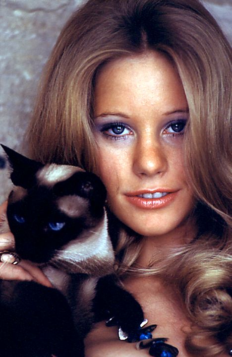 Picture of Jill De Vries