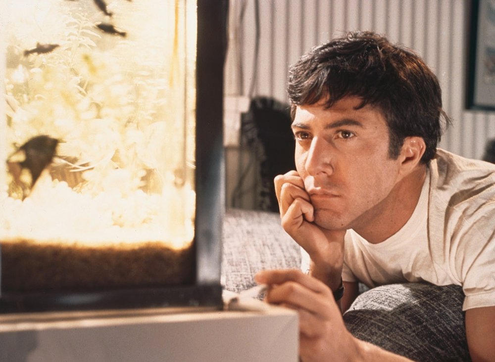 The Graduate