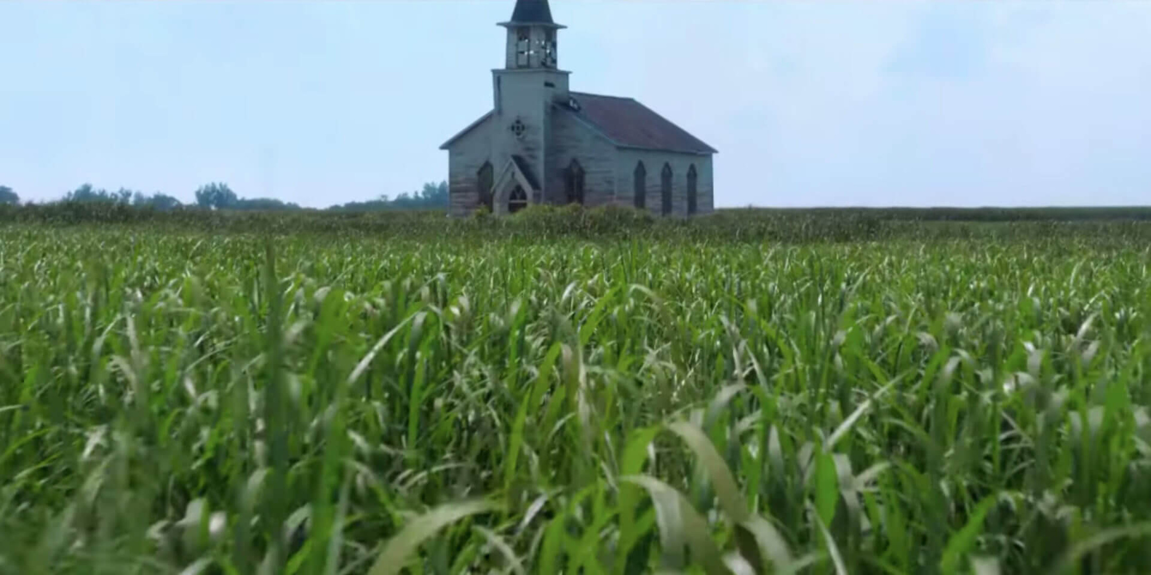 In the Tall Grass