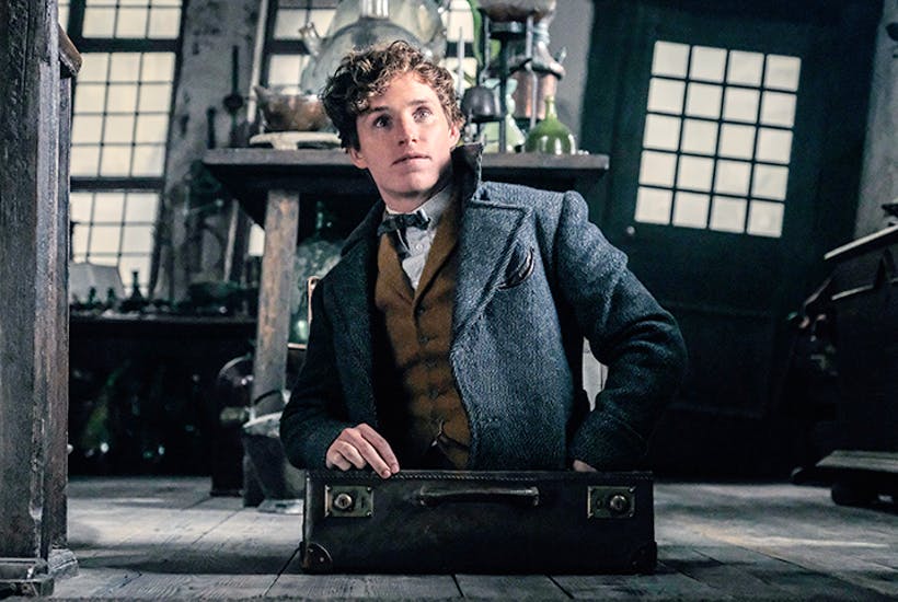 Newt Scamander