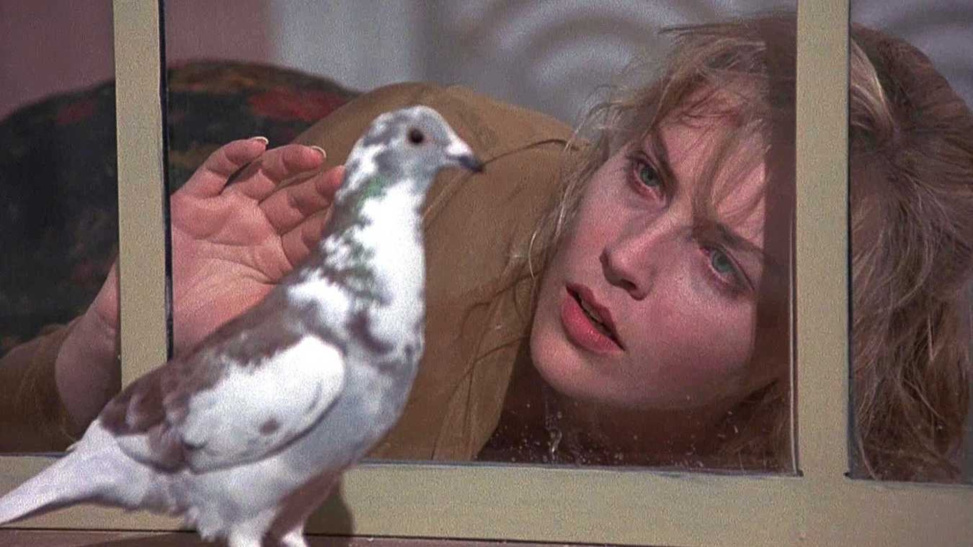 Scissors (1991) Scissors (1991)
