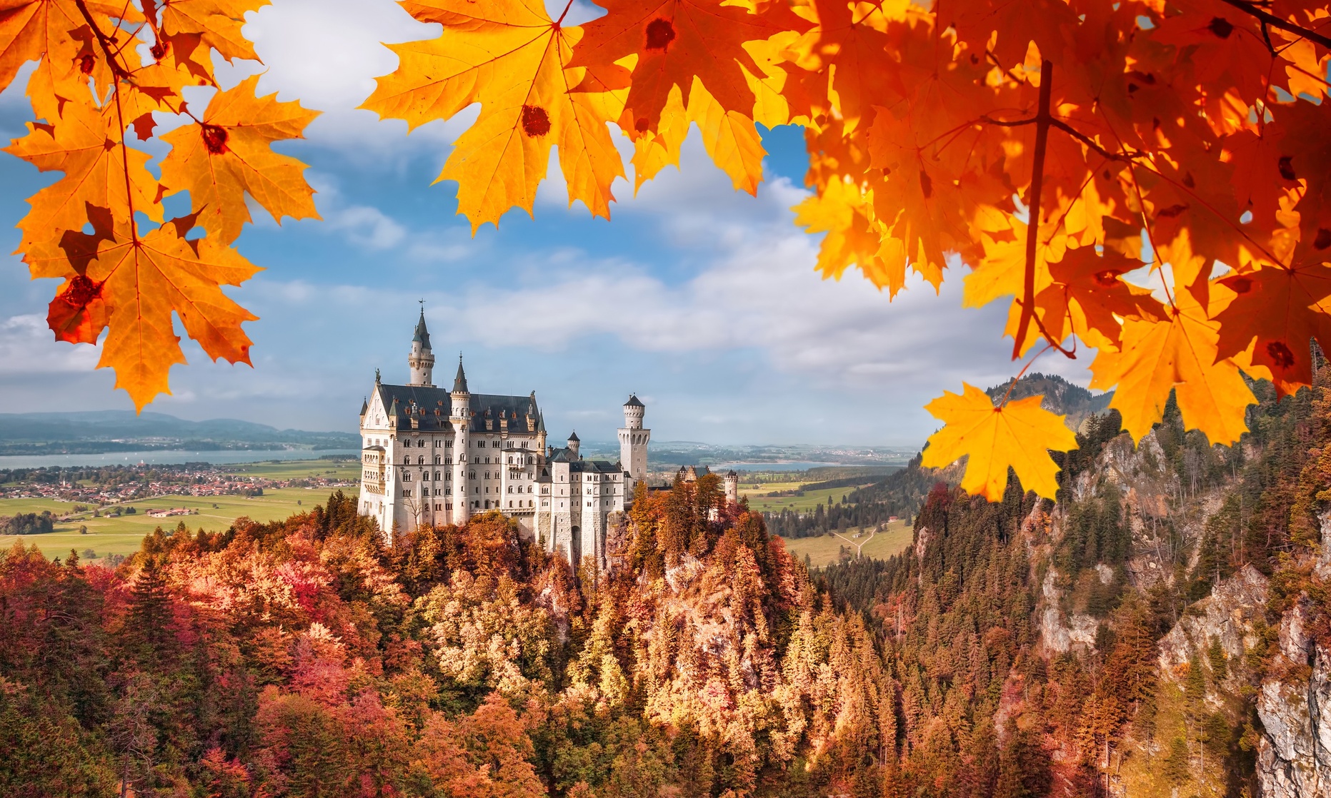 Autumn