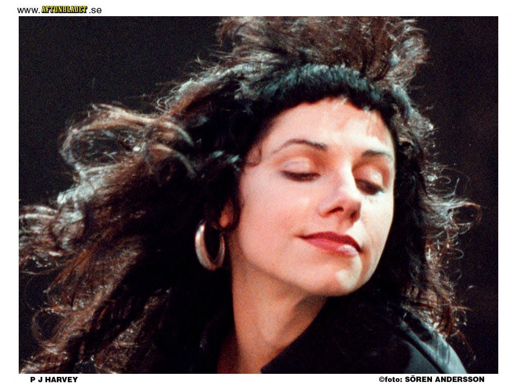 PJ Harvey the Wind.