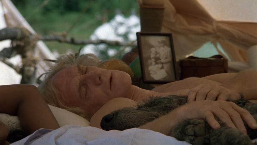 Tarzan the Ape Man (1981)