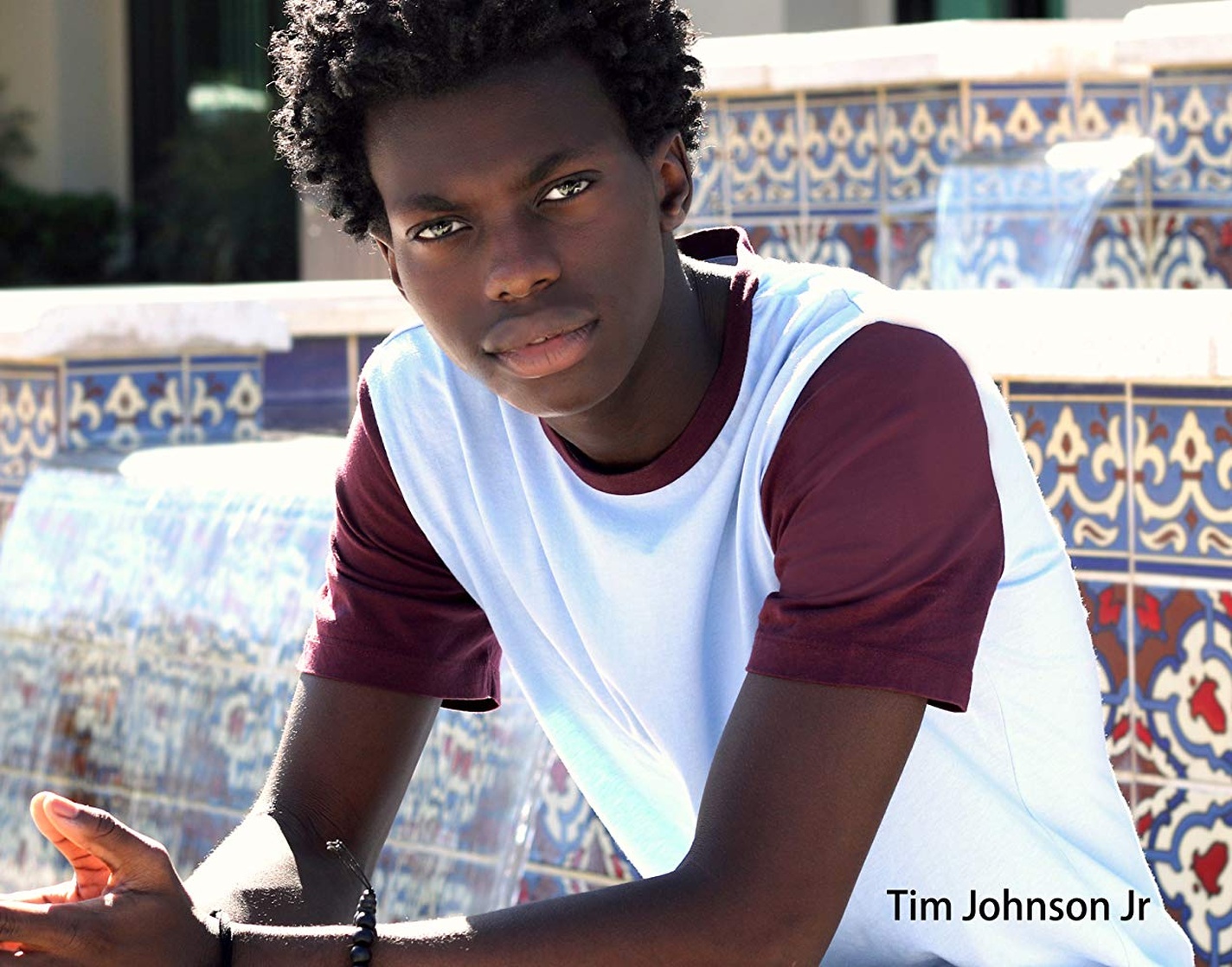 Tim Johnson Jr image