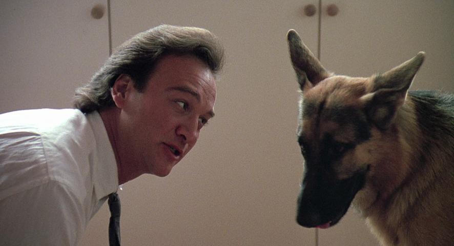K-9 K-9