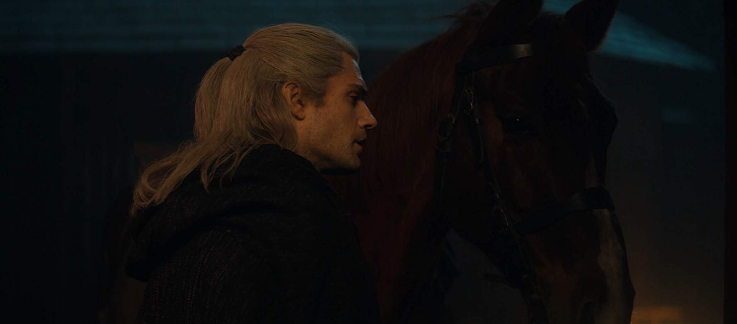The Witcher