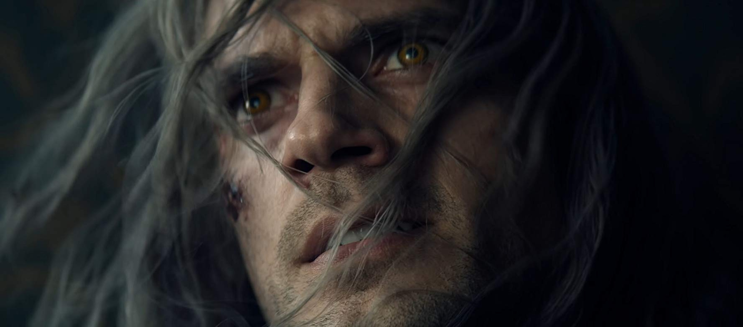 The Witcher