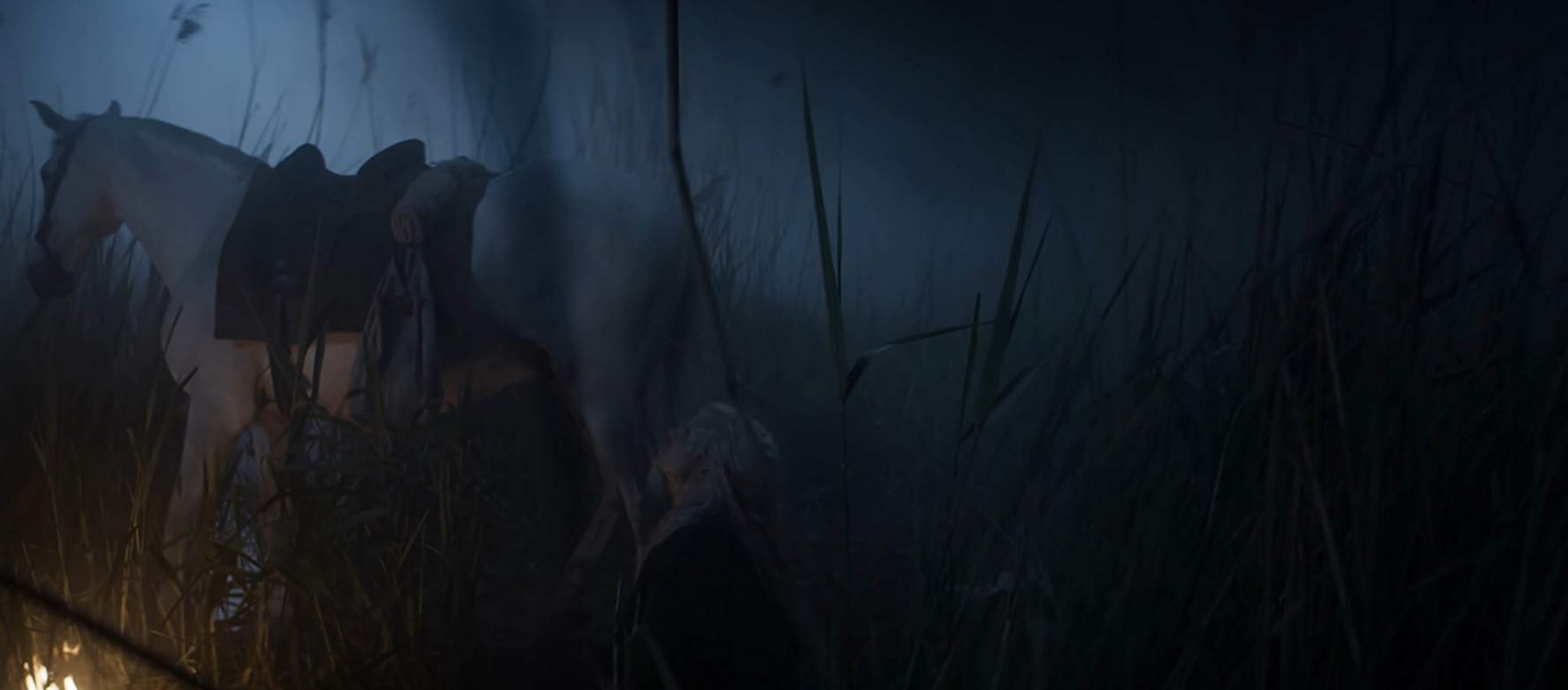 The Witcher