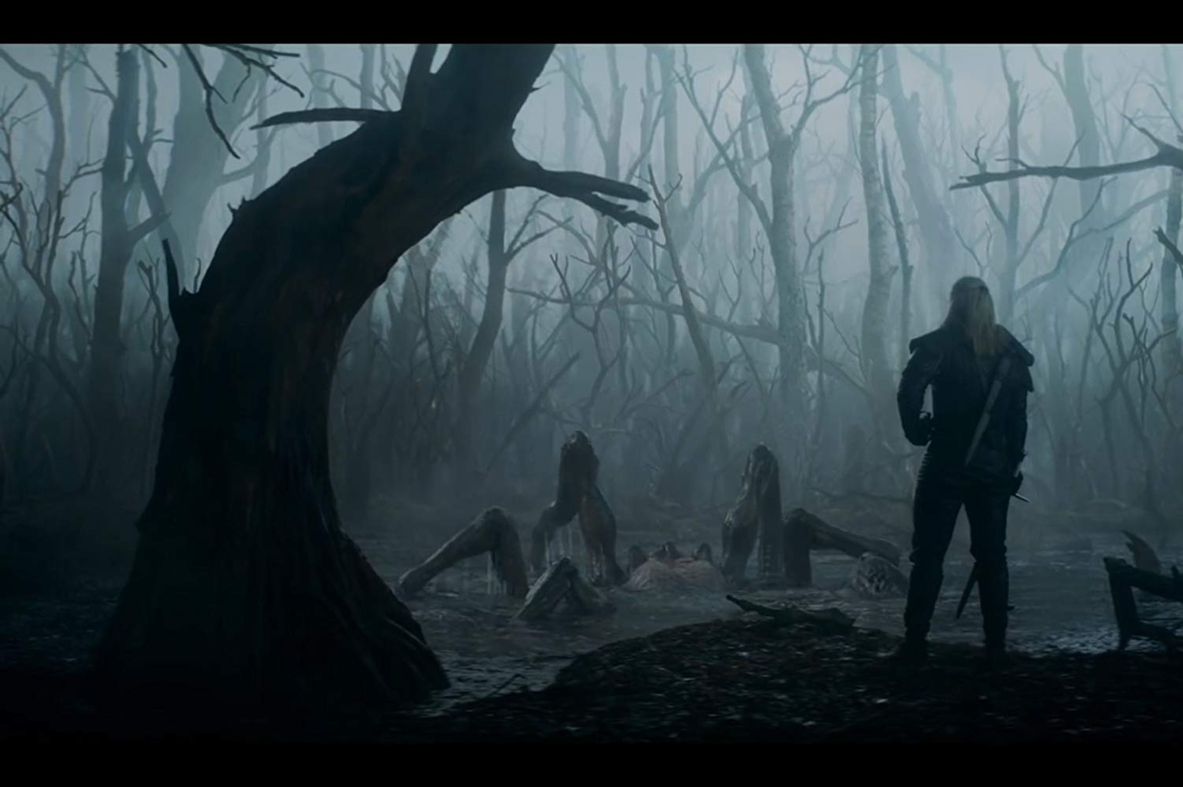 The Witcher
