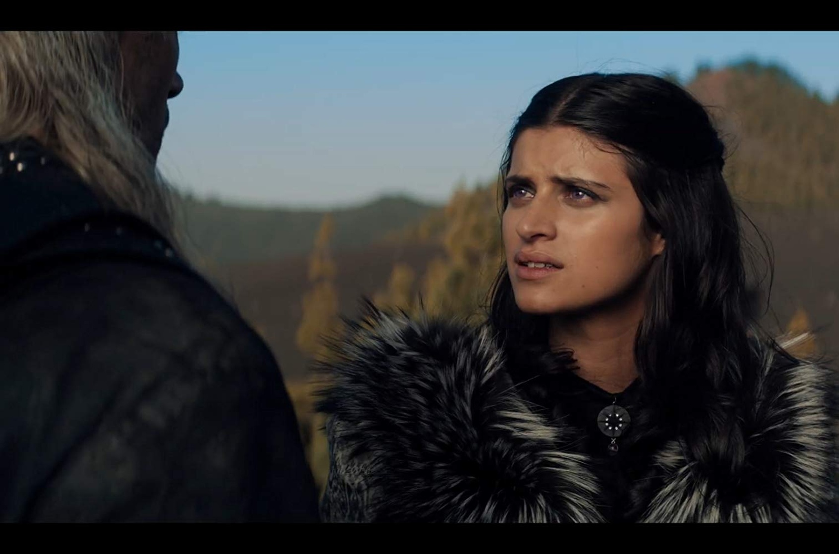 The Witcher
