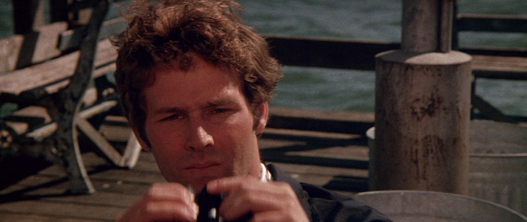 Rollercoaster (1977)