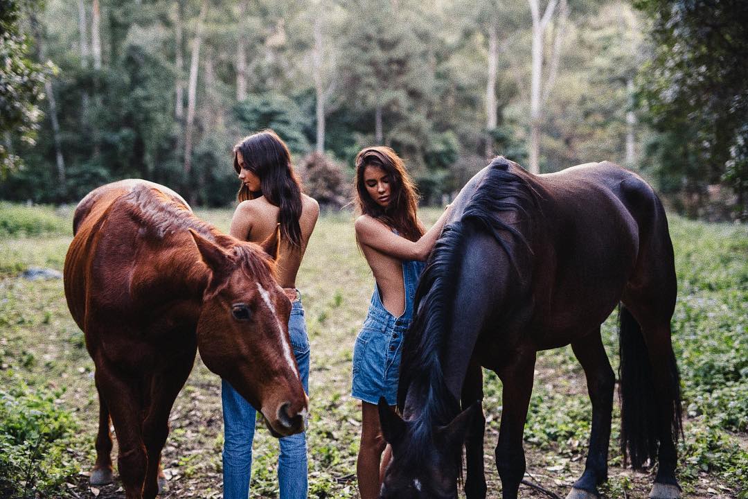 Elisha Herbert Elisha Herbert
