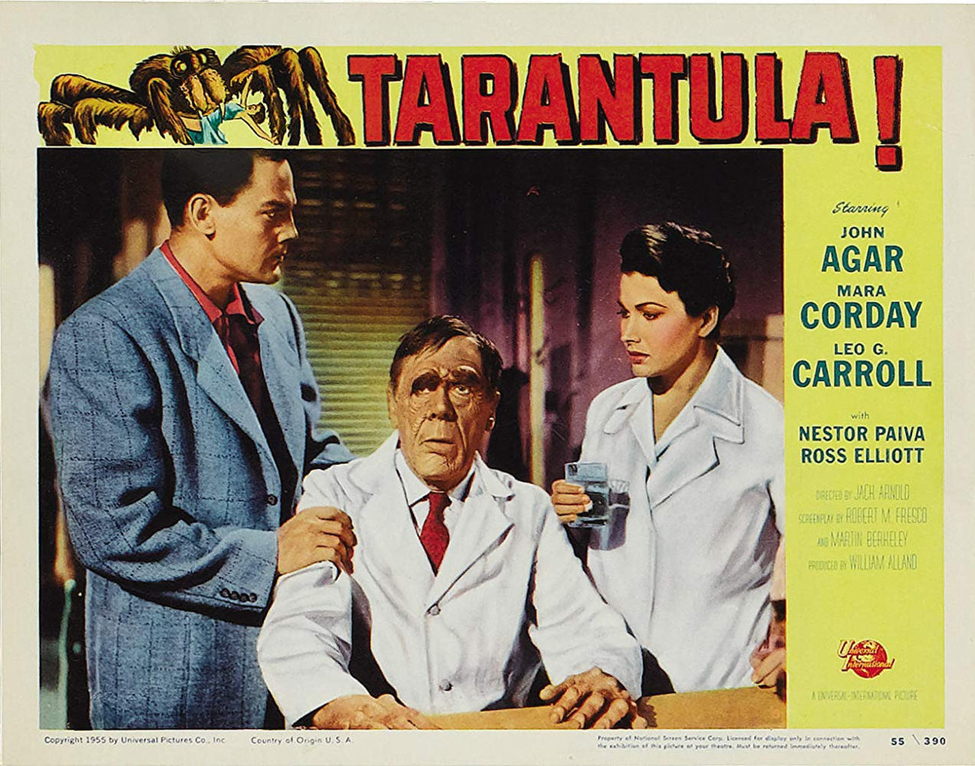 Tarantula Tarantula