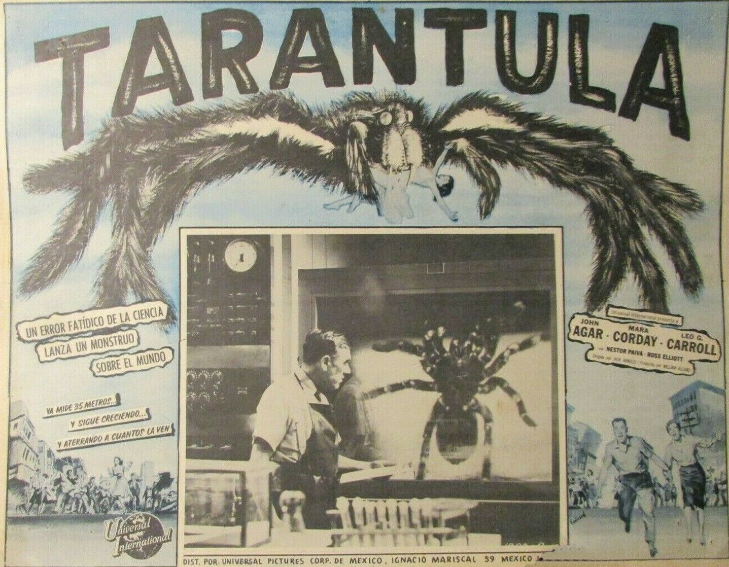 Tarantula Tarantula