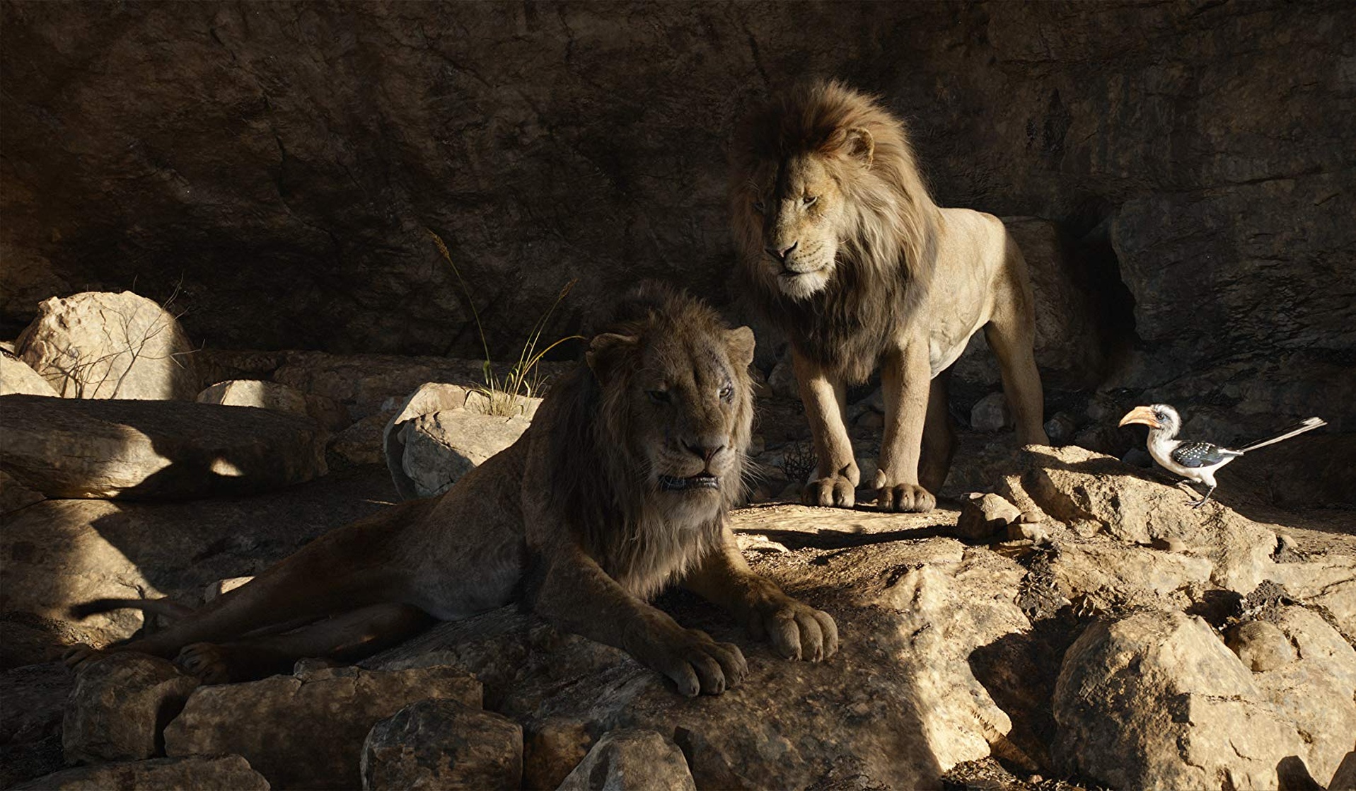 The Lion King