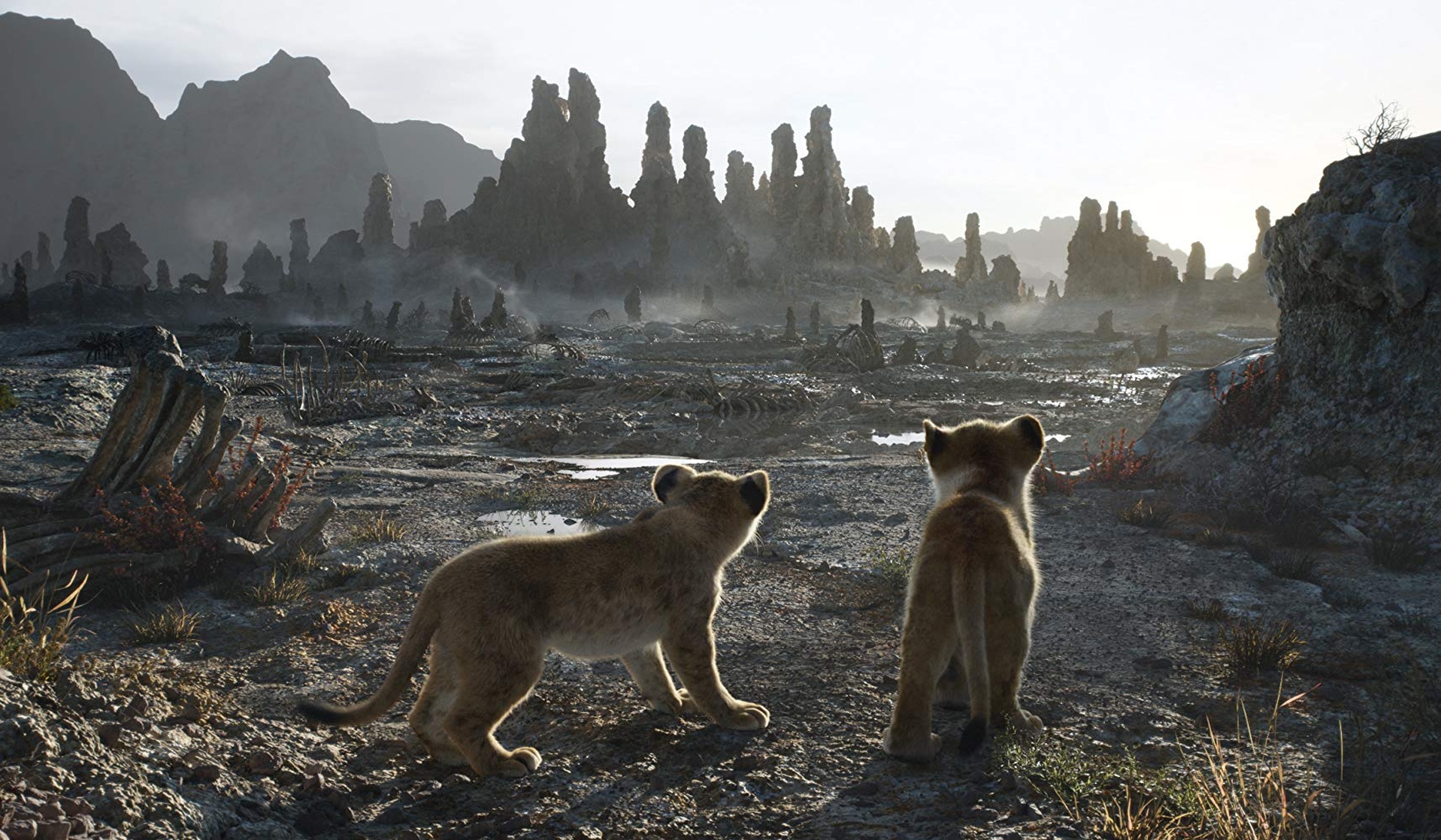 The Lion King