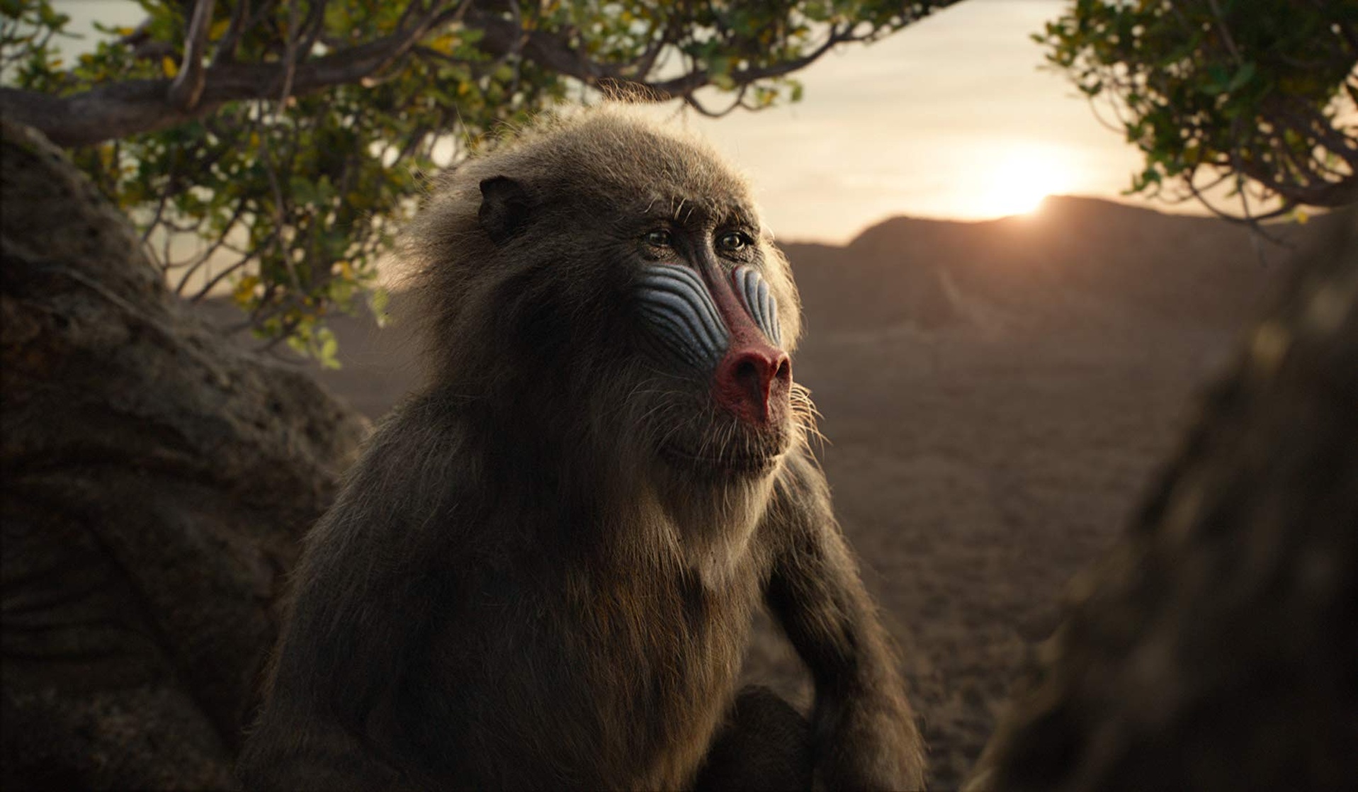 The Lion King