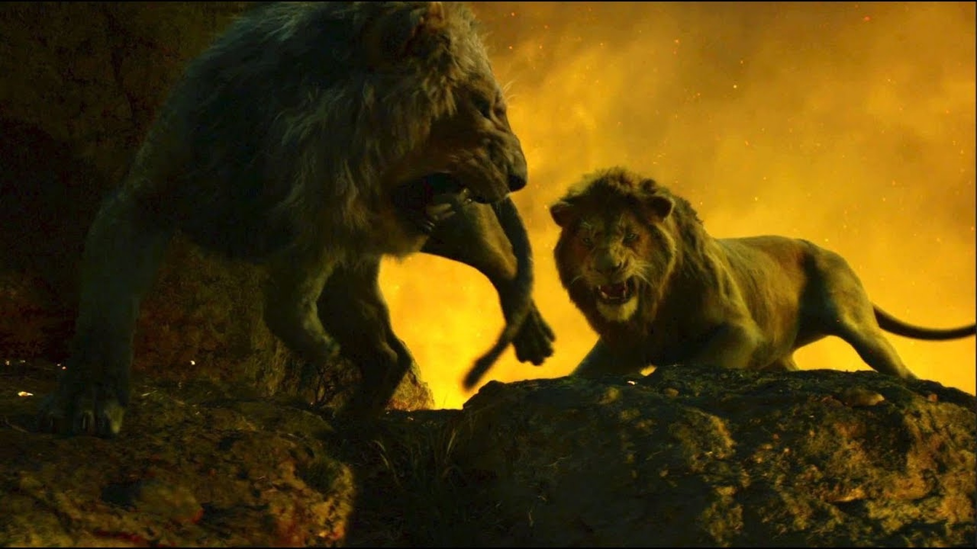 The Lion King