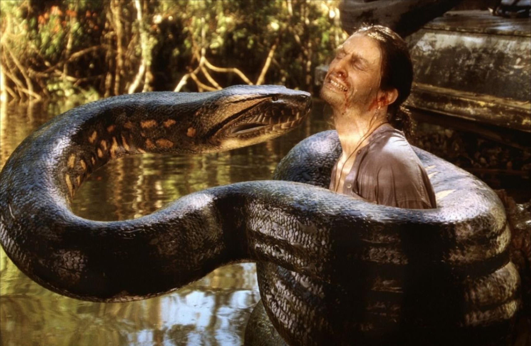 Anaconda Anaconda