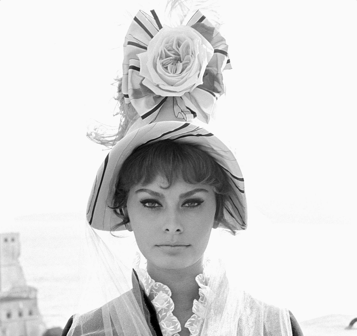 Sophia Loren Sophia Loren