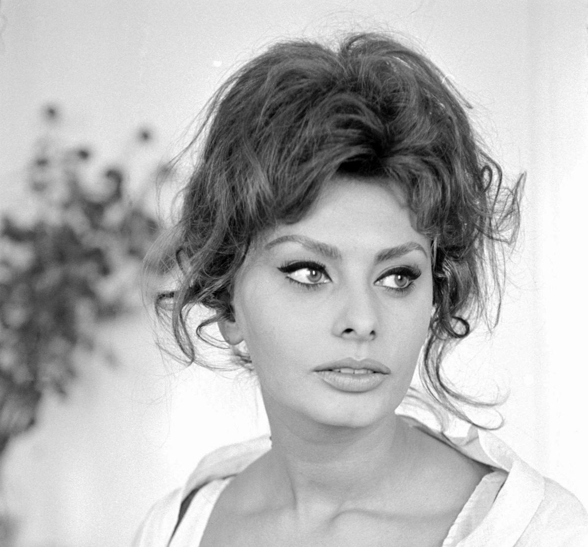 Sophia Loren Sophia Loren