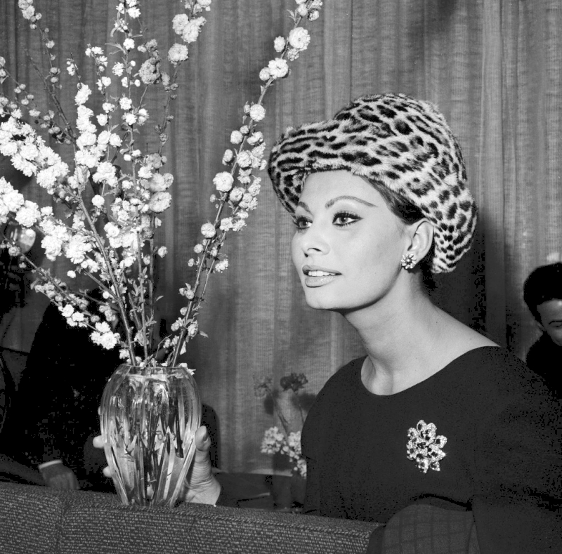 Sophia Loren Sophia Loren