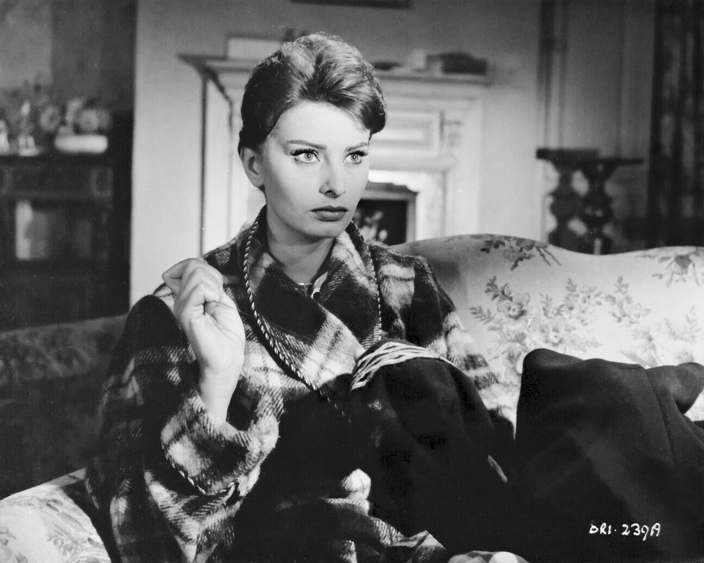 Sophia Loren Sophia Loren