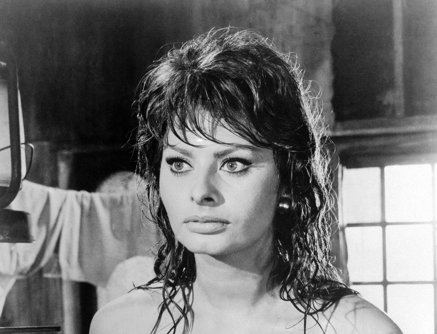 Sophia Loren Sophia Loren