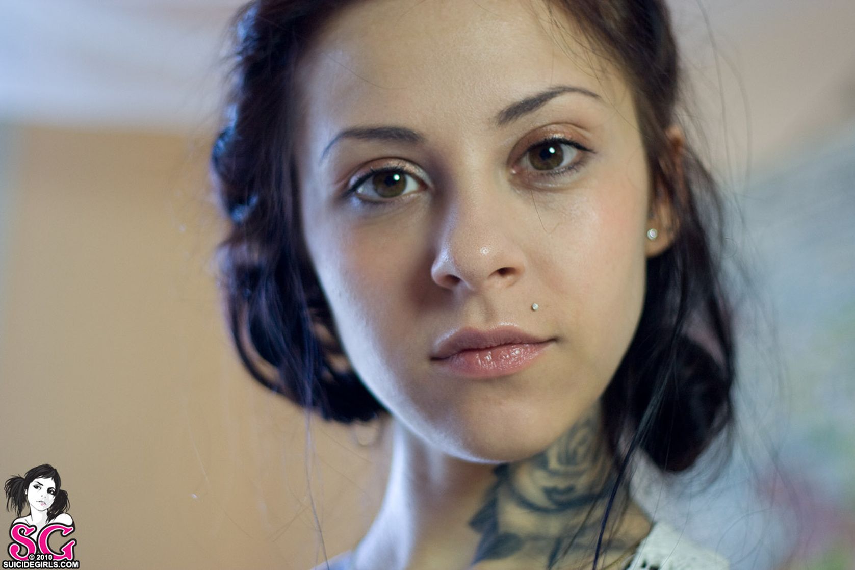 Gogo Suicide