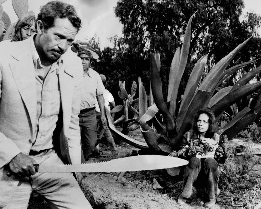 Warren Oates Warren Oates